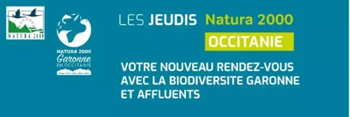 Jeudi N2000 - N°42 : L'Observatoire Garonne : un allié des missions Natura 2000 Garonne - SMEAG